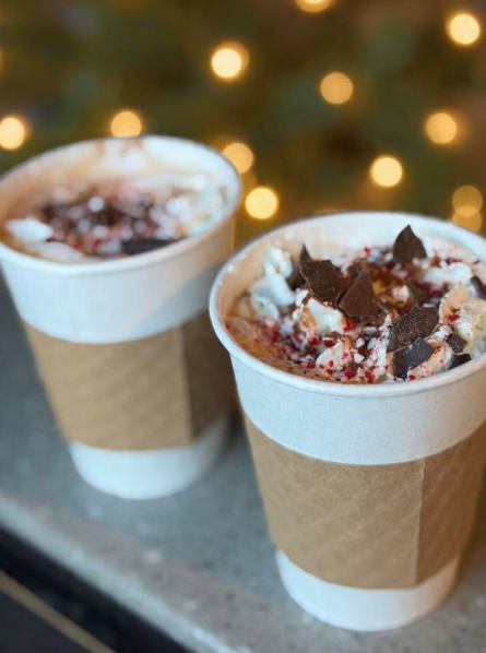 Eco Friendly Hot Chocolate Cup Varieties For Daily Use